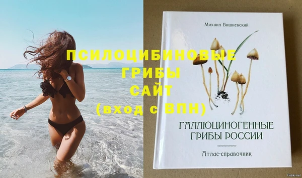 первитин Абинск