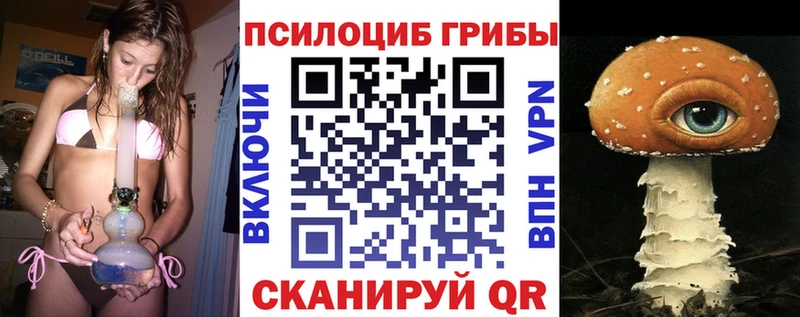 сколько стоит  Абинск  Галлюциногенные грибы Psilocybine cubensis 