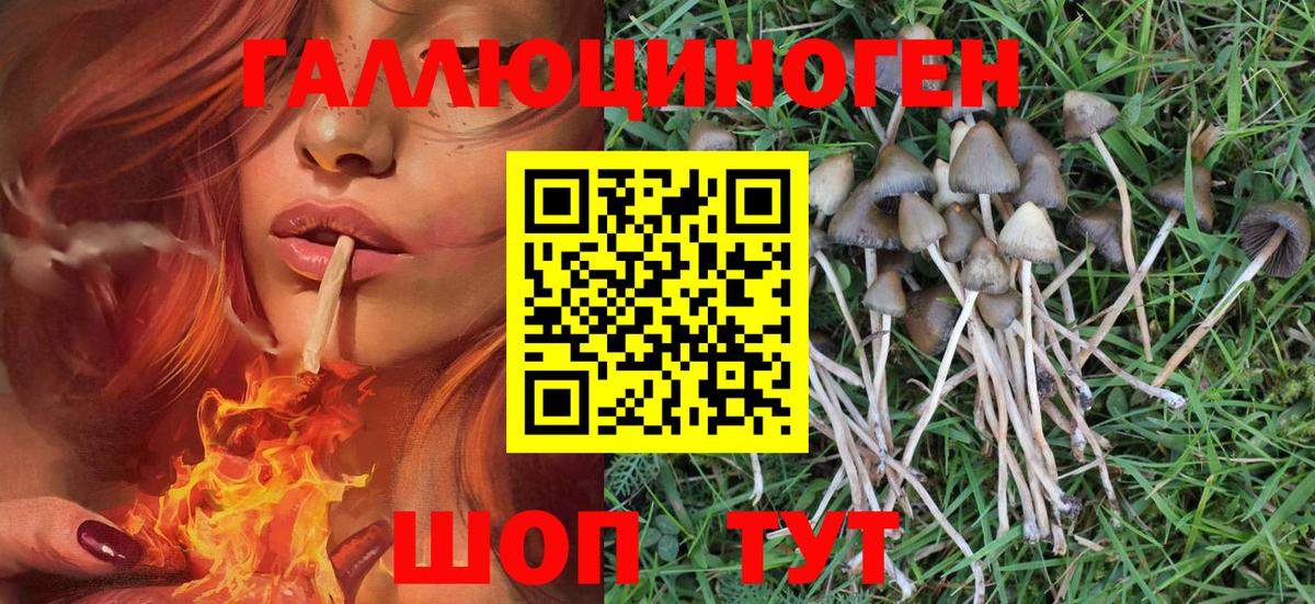 Псилоцибиновые грибы Magic Shrooms  Вход с VPN  Абинск  Галлюциногенные грибы ЛСД 